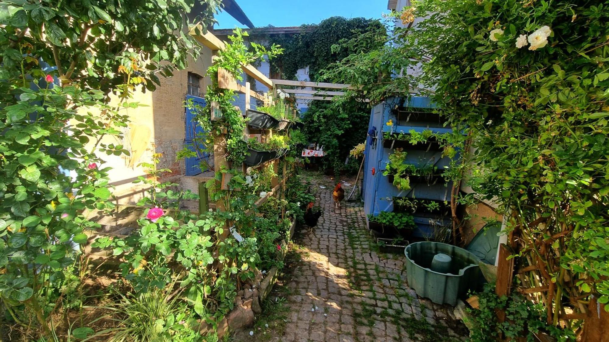Bauernhof Privatzimmer Hortus Sandrine Gemeinschaftsbad Free Wifi Hausbreitenbach Eksteriør billede