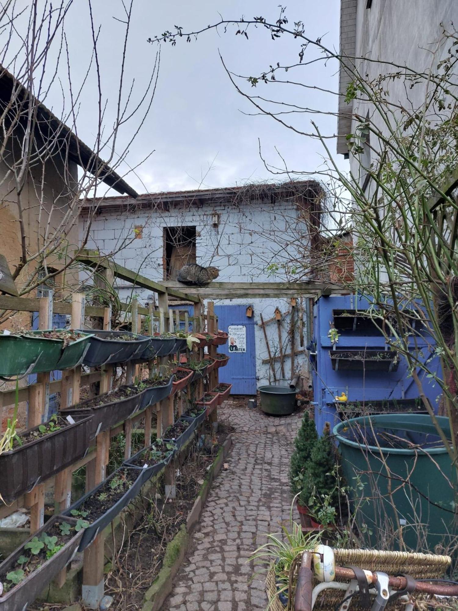 Bauernhof Privatzimmer Hortus Sandrine Gemeinschaftsbad Free Wifi Hausbreitenbach Eksteriør billede